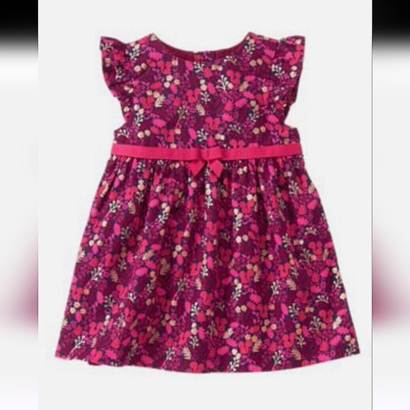 Gymboree Woodland Baby Girl Dress - Picture 5 of 5